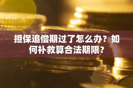 济南担保追偿期过了怎么办？如何补救算合法期限？